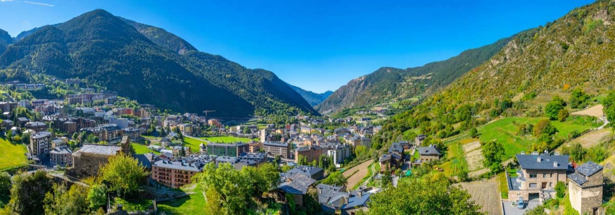 מידע על אנקמפ